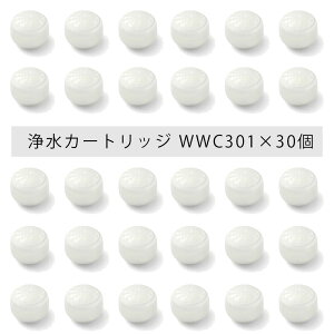 [ ߐ f ] EH[^[N`[ 򐅃V[ WWC301 pJ[gbW e3×10Zbg OHP~J NXC  V[p 