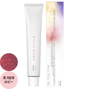 ホーユー プロフェッショナル プロマスター ベーシックカラー R ルビー 80g