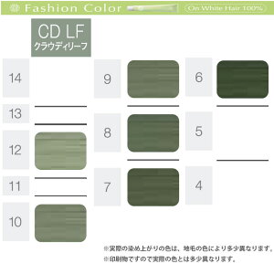 楽天市場 ホーユー プロステップ ファッションカラー 第1剤 Cd Lf クラウディリーフ 80g ヘアカラー アルカリ性カラー おしゃれ染め プロ用ヘア コスメshopネッツビー