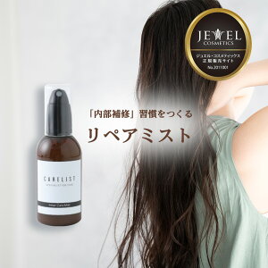 C}bN WGERXeBbNX PAXg Ci[PA~Xg 100g eꔄi P` ~Xg J[ p[} _[W OPA UVPA c {^jJ 􂢗Ȃg[