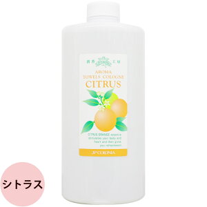 JPRjA A}^IR 1000mL ~g VgX O[ Iׂ3̍ A} VR bNX