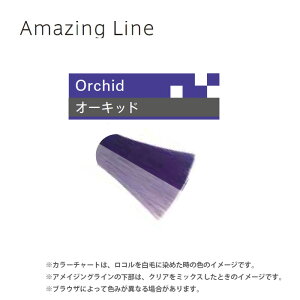 楽天市場 11 1 P5倍 クーポン ルベル ロコル アメイジングライン オーキッド 300g ヘアカラー カラートリートメント プロ用ヘア コスメshopネッツビー