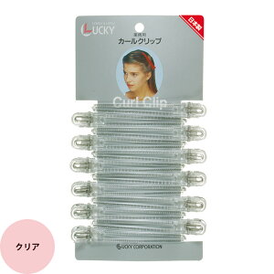 [ wANbv 傫 ] bL[R[|[V J[NbvLL 䎆 S11F 12{ _bJ[ ΂ s O Nbv et vp O bL[gfB bL[EB