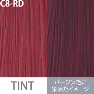 ~{ IfB[u g[Rg[[ 1 bh / 80g y wAJ[ AJJ[  z