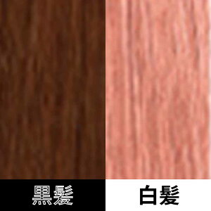 R^ wAJ[ 1 PG sNO[v / 80g y wAJ[ AJJ[   z