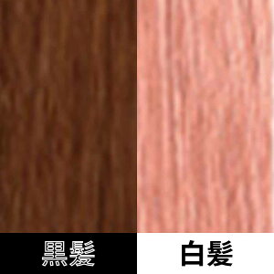 R^ wAJ[ 1 PG sNO[v / 80g y wAJ[ AJJ[   z