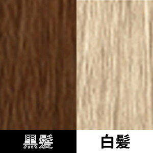 R^ wAJ[ 1 uEVF[h BB x[WuE / 80g y wAJ[ AJJ[   z