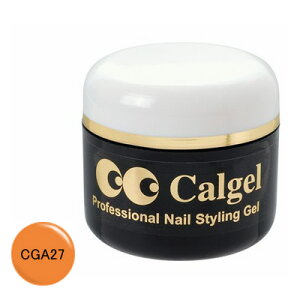 JWF CGA27 J[WF CgIW / 4g