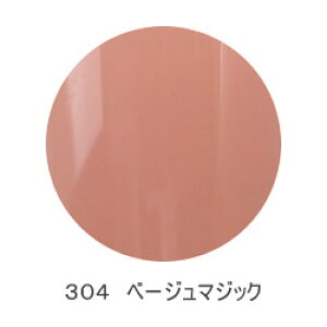 ���A�N�`���[�� ���A�W�F�� �J���[�W�F�� 304 �x�[�W���}�W�b�N / 5g