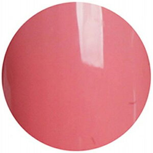 pWF A[gC J[WF AMD43 `[NXeBbN / 2g 