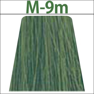 iJm LfR ~[A M }bg 1 / 80g y wAJ[ AJJ[  z