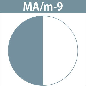 iJm LfR iAJ^Cvj f[gJ[ MA ~gAbVM 1 / 80g y wAJ[ AJJ[  z