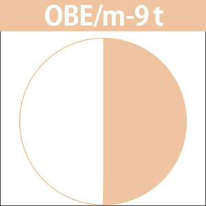 iJm LfR ieB^[^Cvj f[gJ[ OBE IWx[WM 1 / 80g y wAJ[ AJJ[  z