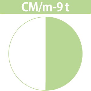 iJm LfR ieB^[^Cvj f[gJ[ CM VtH}bgM 1 / 80g y wAJ[ AJJ[  z