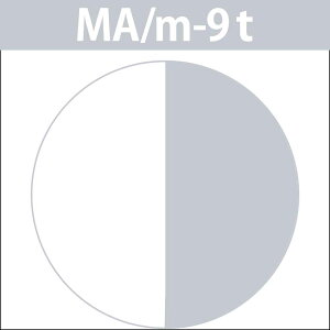 iJm LfR ieB^[^Cvj f[gJ[ MA ~gAbVM 1 / 80g y wAJ[ AJJ[  z