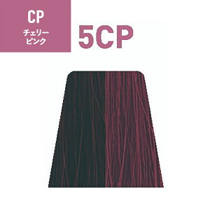 iJm TXeBm 1 CPi`F[sNj 80g [ wAJ[  h TƖp э vp et ] SUSTINO