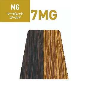 iJm TXeBm 1 MGi}[KbgS[hj 80g [ wAJ[  h TƖp э vp et ] SUSTINO