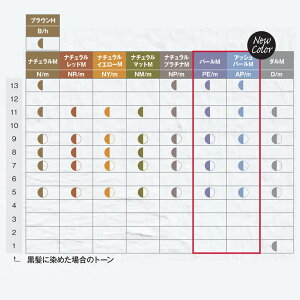 楽天市場 ナカノ キャラデコ アルカリタイプ モデレートカラー D ダルm 第1剤 80g ヘアカラー アルカリ性カラー おしゃれ染め プロ用ヘア コスメshopネッツビー