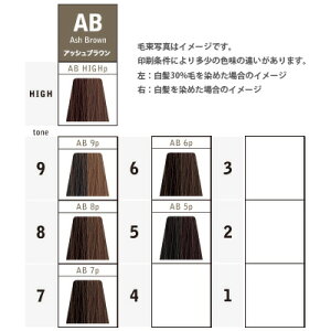 楽天市場 ナカノ キャラデコ パブェ ベーシックゾーン Ab アッシュブラウン 第1剤 80g ヘアカラー アルカリ性カラー 白髪染め プロ用ヘア コスメshopネッツビー