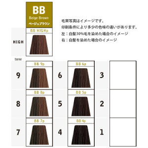 楽天市場 ナカノ キャラデコ パブェ ベーシックゾーン ベージュブラウン 第1剤 80g ヘアカラー アルカリ性カラー 白髪染め プロ用ヘア コスメshopネッツビー