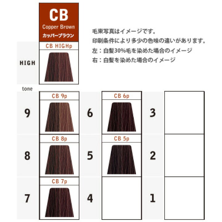 楽天市場 ナカノ キャラデコ パブェ ベーシックゾーン Cb カッパーブラウン 第1剤 80g ヘアカラー アルカリ性カラー 白髪染め プロ用ヘア コスメshopネッツビー