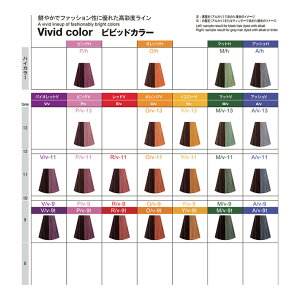 楽天市場 ナカノ キャラデコ ティンタータイプ ビビットカラー Gr ガーネットレッドv 第1剤 80g ヘアカラー アルカリ性カラー おしゃれ染め プロ用ヘア コスメshopネッツビー