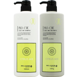 fNVI v CMC VgX~bNXVv[g[gg |v{gZbg / 1000mL+1000g 