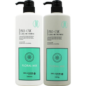 fNVI v CMC t[~bNXVv[g[gg |v{gZbg / 1000mL+1000g 