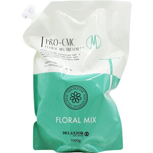 fNVI v CMC t[~bNXg[gg / 3000gtB 