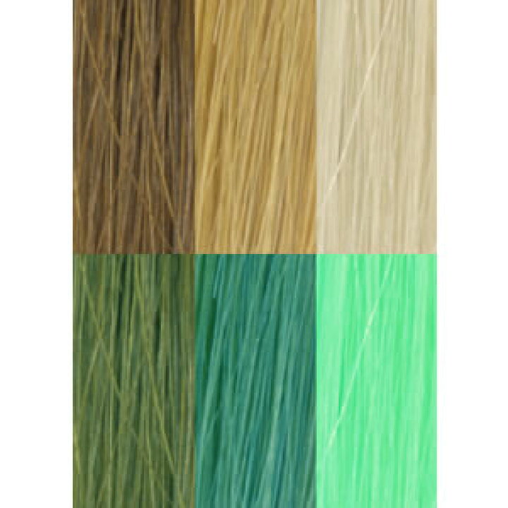 楽天市場 エンシェールズ カラーバター トリートメント アイスミントグリーン ヘアマニキュア 0g ヘアカラー プロ用ヘア コスメshopネッツビー