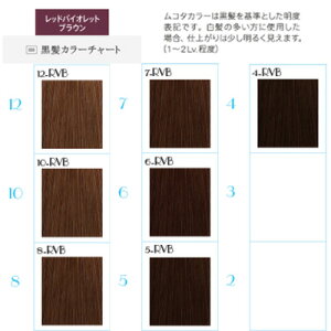 楽天市場 ムコタ ヘアカラー 第1剤 ブラウンシェード Rvb レッドバイオレットブラウン 80g ヘアカラー アルカリ性カラー おしゃれ染め 白髪染め プロ用ヘア コスメshopネッツビー 楽天市場 ムコタ ヘアカラー 第1剤 ブラウンシェード Rvb レッドバイオレットブラウン 80g ヘアカラー アルカリ性カラー おしゃれ染め 白髪染め プロ用ヘア コスメshopネッツビー