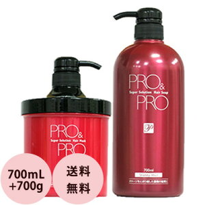 [ eꔄ 2_Zbg ] pVtBbNv_Nc v Ah v X[p[\[V wA\[v  wA}XN 700mL+700g VrB[wAp d  _[WPA g[gg 