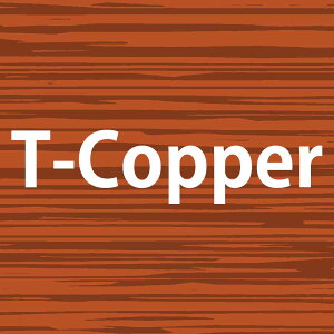 pCA CyAJ[ Cy 1 Te eBgVF[h / 100g y wAJ[ AJJ[  z