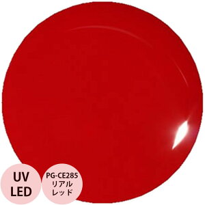 PREGEL �v���W�F�� �J���[EX ���A�����b�h PG-CE285 �J���[�W�F�� / 4g �i��`�O �Ή��j
