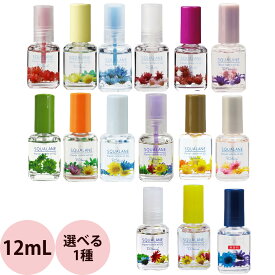 [ 選べる 1本 ] ピーシャイン キューティクルオイル スクワラン SQ 12mL （定形外 対応）