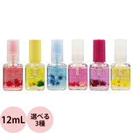 [ 選べる 3本セット ] ピーシャイン キューティクルオイル ホホバ JO 12mL×3本 セット