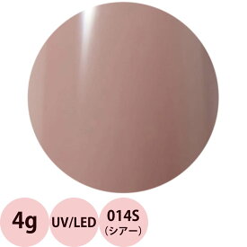 Raygel レイジェル カラージェル 014S シアー ダークピンクブラウン 4g 定形外 対応