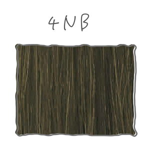 ���A�����w ���C���[ �Z�[ �N���X �x�[�X�J���[ NB �i�`�������u���E�� ��1�� 90g �w�A�J���[ �������� �����p �A���J�����J���[ ���e�� ���e�t MEIRY SEZE X REAL
