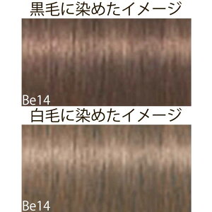 VcRt CS C sNT-F x[WVF[h Be x[W 1 80g [ wAJ[ AJJ[  ] Schwarzkopf