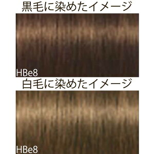 VcRt CS C sNT-F x[WVF[h HBe nj[x[W 1 80g [ wAJ[ AJJ[  ] Schwarzkopf