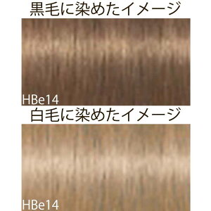 VcRt CS C sNT-F x[WVF[h HBe nj[x[W 1 80g [ wAJ[ AJJ[  ] Schwarzkopf