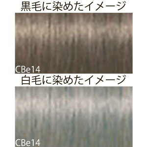 VcRt CS C sNT-F x[WVF[h CBe N[x[W 1 80g [ wAJ[ AJJ[  ] Schwarzkopf