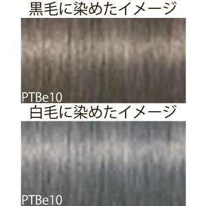 VcRt CS C sNT-F x[WVF[h PTBe v`ix[W 1 80g [ wAJ[ AJJ[  ] Schwarzkopf