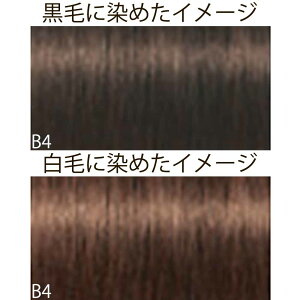 VcRt CS C sNT-F uEƐFnVF[h B uE 1 80g [ wAJ[ AJJ[  ] Schwarzkopf