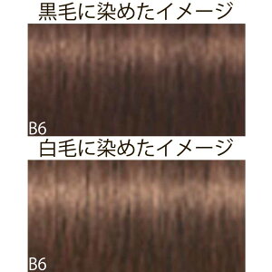 VcRt CS C sNT-F uEƐFnVF[h B uE 1 80g [ wAJ[ AJJ[  ] Schwarzkopf