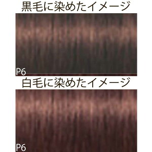 VcRt CS C sNT-F uEƐFnVF[h P sN 1 80g [ wAJ[ AJJ[  ] Schwarzkopf