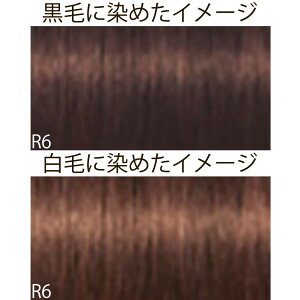 VcRt CS C sNT-F uEƐFnVF[h R bh 1 80g [ wAJ[ AJJ[  ] Schwarzkopf