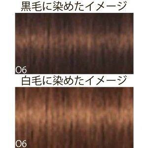 VcRt CS C sNT-F uEƐFnVF[h O IW 1 80g [ wAJ[ AJJ[  ] Schwarzkopf