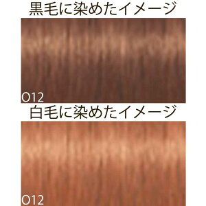 VcRt CS C sNT-F uEƐFnVF[h O IW 1 80g [ wAJ[ AJJ[  ] Schwarzkopf