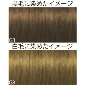 VcRt CS C sNT-F uEƐFnVF[h G S[h 1 80g [ wAJ[ AJJ[  ] Schwarzkopf